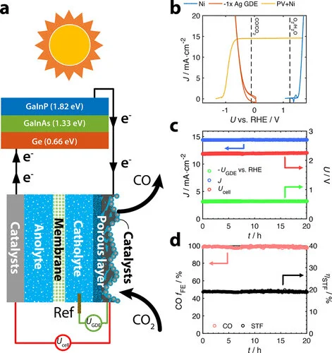 SH様 リクエスト 2点 まとめ商品　erdure CO2 erdure CO2 GELPACK（エルデュール CO2 ジェルパック） – BEFUNKY